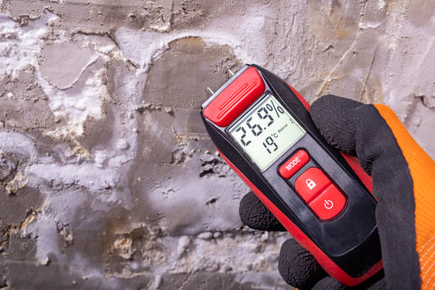  West Point, VA Mold Removal Pros