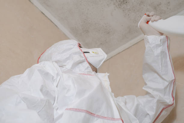 West Point, VA Mold Removal Company