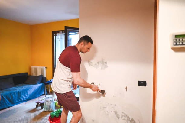 Best Mold Remediation Experts  in West Point, VA